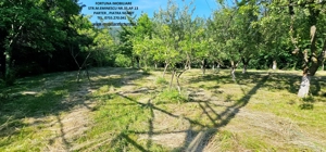 Proprietate la 5 km de oras- Vila P+1 + 5600 mp teren - imagine 8