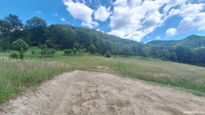 Teren de vanzare - imagine 6