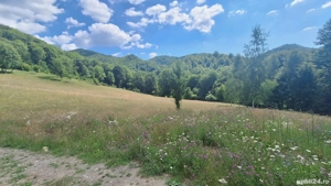 Teren de vanzare - imagine 7