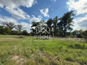  Teren intravilan de vânzare – 6.000 mp, Sebeș - imagine 2