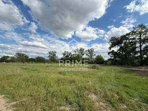 Teren intravilan de vânzare – 2200 mp, Sebeș