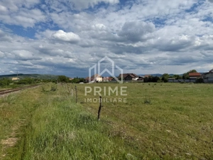 Teren intravilan de vânzare – 5.500 mp, Sebeș - imagine 3