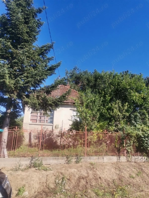 Casa de vanzare Viile Satu Mare
