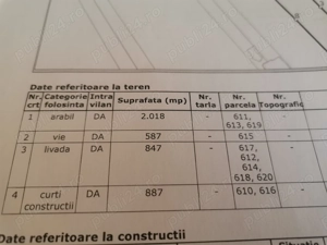 Casa de vanzare Viile Satu Mare - imagine 4