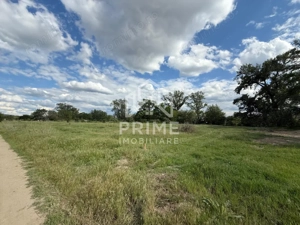  Teren intravilan de vânzare – 6.000 mp, Sebeș - imagine 3