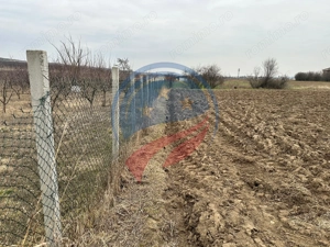 Teren 935mp Bradesti / Strada Valea Rea - imagine 4