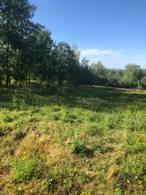 Teren de vanzare Polovragi - imagine 8