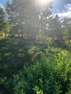 Teren de vanzare Polovragi - imagine 7