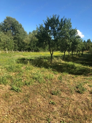 Teren de vanzare Polovragi - imagine 9