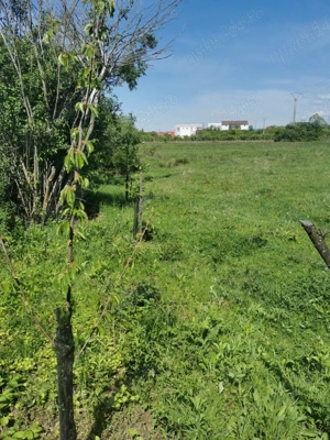 Teren de vanzare 2680 mp, Caransebeș - Str. Sarmisegetuza pt construcție case de vacanță, ecologice - imagine 3