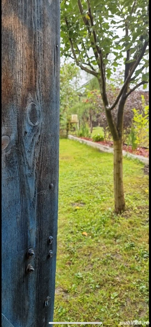 vand cabana in cugir - imagine 4