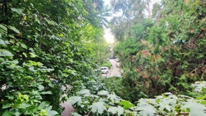 Metrou Obor - Mosilor, Cenusaresei - Etaj 1, Dec, Prima inchiriere - imagine 14