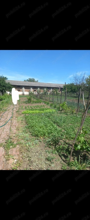 VAND teren intravilan comuna  OLARI, PRAHOVAcu casa batraneasca nelocuibila  - imagine 3