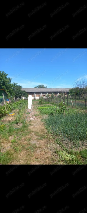 VAND teren intravilan comuna  OLARI, PRAHOVAcu casa batraneasca nelocuibila  - imagine 2