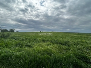 Teren de vânzare Bals Com. Voineasa, Sat Racovita - imagine 2