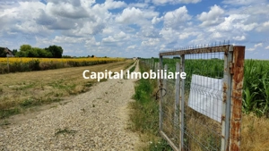 Teren agricol 9100 mp - 45.500€