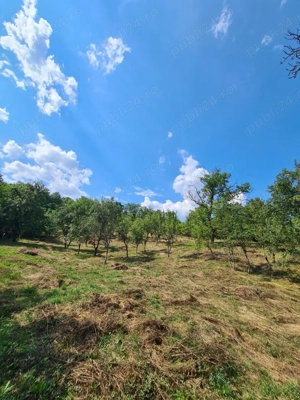 Teren intravilan 3900 m  de vânzare   Călimănești, Jiblea Veche - imagine 3