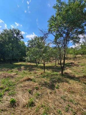 Teren intravilan 3900 m  de vânzare   Călimănești, Jiblea Veche - imagine 2