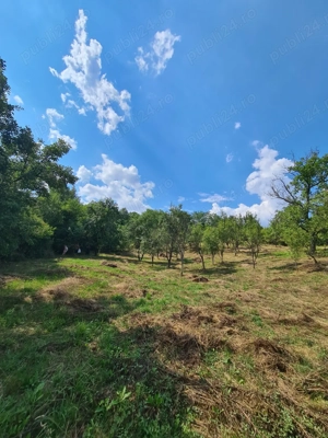 Teren intravilan 3900 m  de vânzare   Călimănești, Jiblea Veche - imagine 4