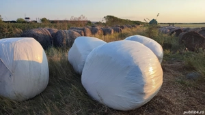 Vând baloți rotunzi - imagine 5