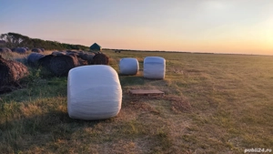 Vând baloți rotunzi - imagine 3