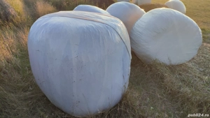 Vând baloți rotunzi - imagine 4