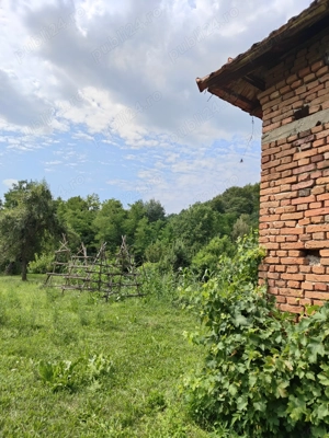   VÂND CASĂ ÎN CAPU Piscului Godeni judetul Arges    - imagine 4