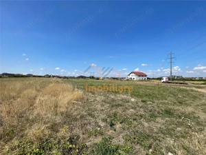 TEREN | 1391MP | SANMARTIN - imagine 2