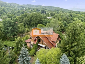 Vedere directa la Padure, 5000mp teren, Vila D+P+1E+M, semineu, foisor