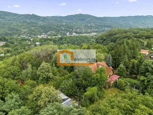 Vedere directa la Padure, 5000mp teren, Vila D+P+1E+M, semineu, foisor