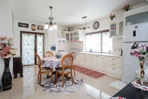 0% Comision - VILA de LUX de vânzare – Cu iaz natural - imagine 14