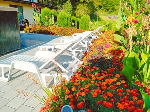 cabana Poienita Bucea - imagine 3 cabana Poienita Bucea - imagine 3