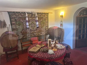 Domeniu de vanzare cu 17.000 mp teren, sat Oboga - imagine 19