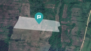 Teren arabil de 11,3 hectare în Bara, Timiș - imagine 3