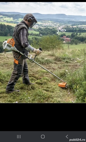 tai iarba doar in timisoara