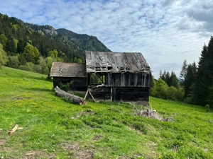 Vand sura demolabila-Sacele