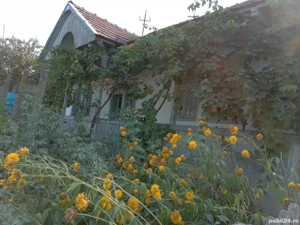 Vand casa Rebricea Jud Vaslui