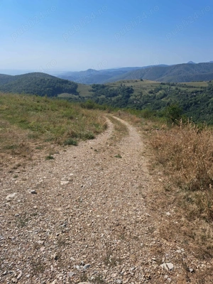 Vând teren extravilan și intravilan, Râmeț,Transapuseana - imagine 2