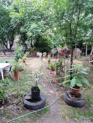 inchiriez garsoniera in Timisoara, zona Plopi, linia E8  - imagine 8