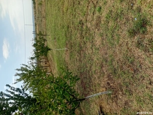 Vand teren intravilan Bradesti - imagine 8