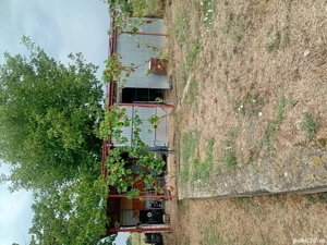 Vand teren intravilan Bradesti - imagine 6