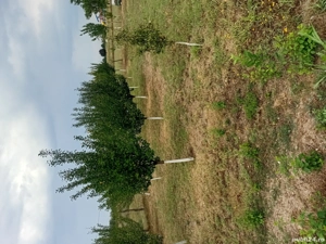 Vand teren intravilan Bradesti - imagine 2