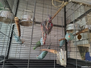 Micul Alexander  - imagine 5