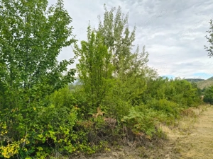 Terenuri intravilane alipibile în Runcu, zonă cu potențial - imagine 7