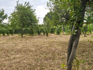 Terenuri intravilane alipibile în Runcu, zonă cu potențial - imagine 3