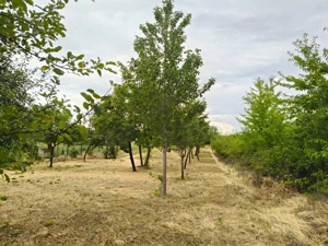 Terenuri intravilane alipibile în Runcu, zonă cu potențial - imagine 4