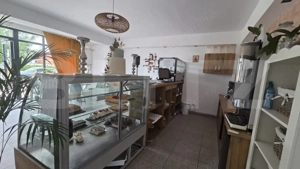 Spatiu Comercial, 56 mp, Zona Damila - imagine 8