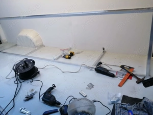 Masini transport câini 