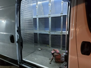 Masini transport câini  - imagine 2