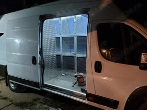 Masini transport câini  - imagine 4